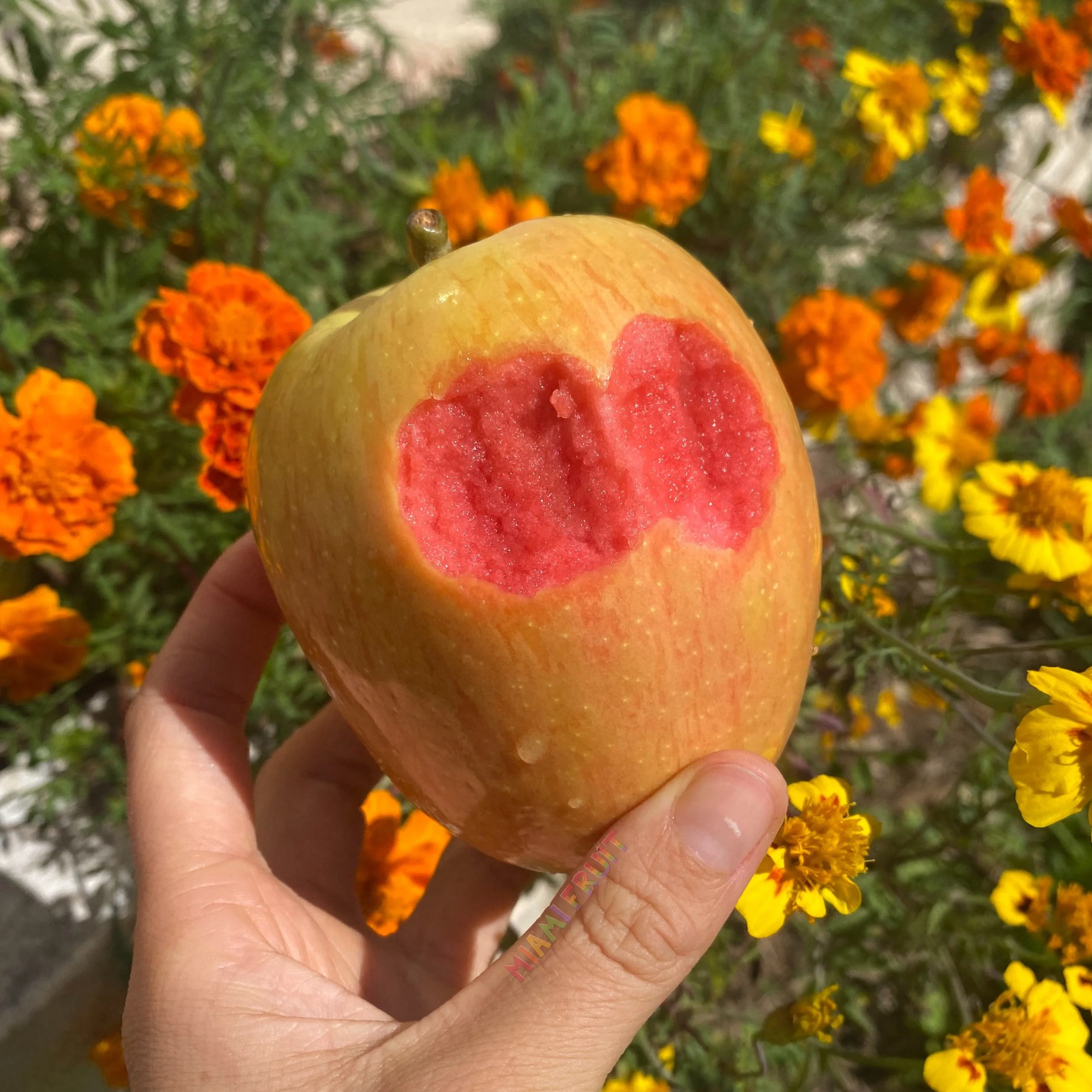 Celebrating Love Sale