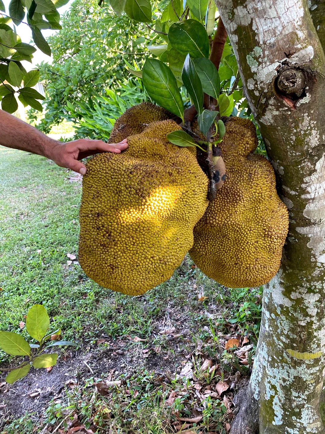 Thumbnail 14