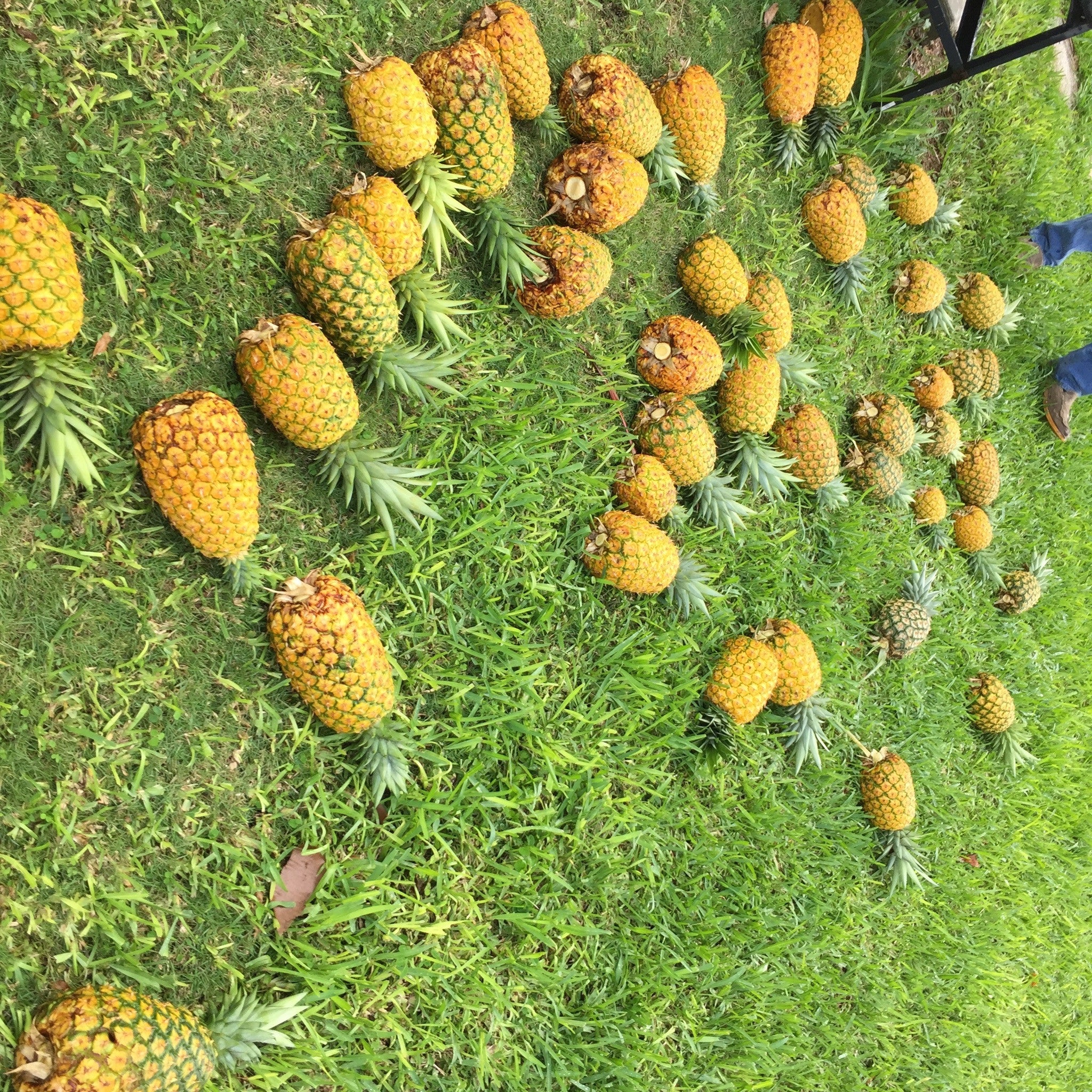 Thumbnail 28