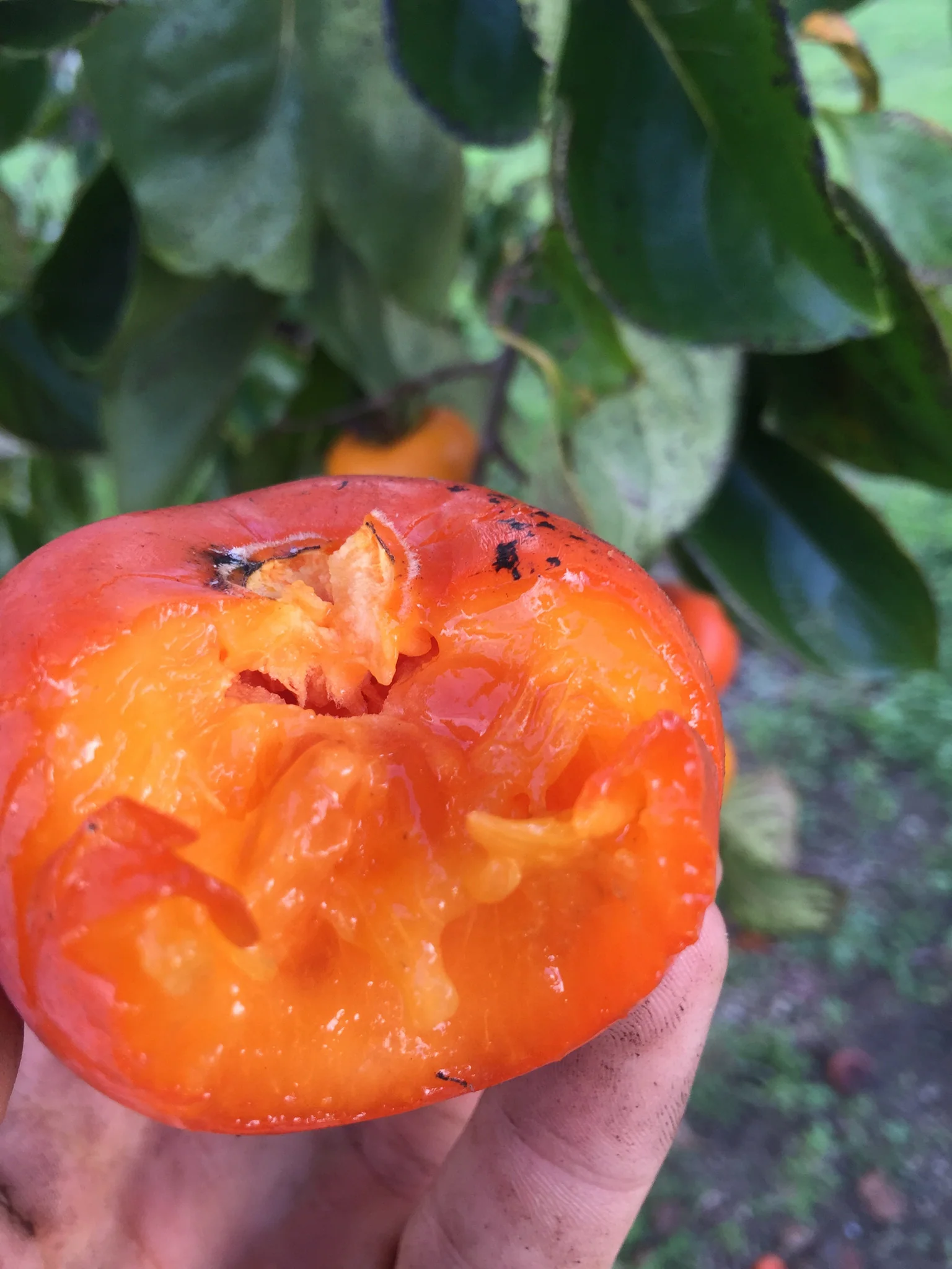 Thumbnail 10